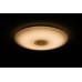 DALEN inteligentné LED stropné osvetlenie DL-C306T